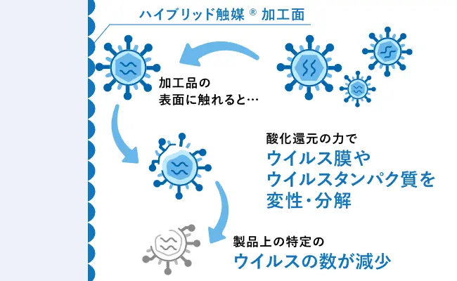 加工品の表面に触れると……。酸化還元の力でウイルス膜やウイルスタンパク質を変性・分解。製品上の特定のウイルスの数が減少